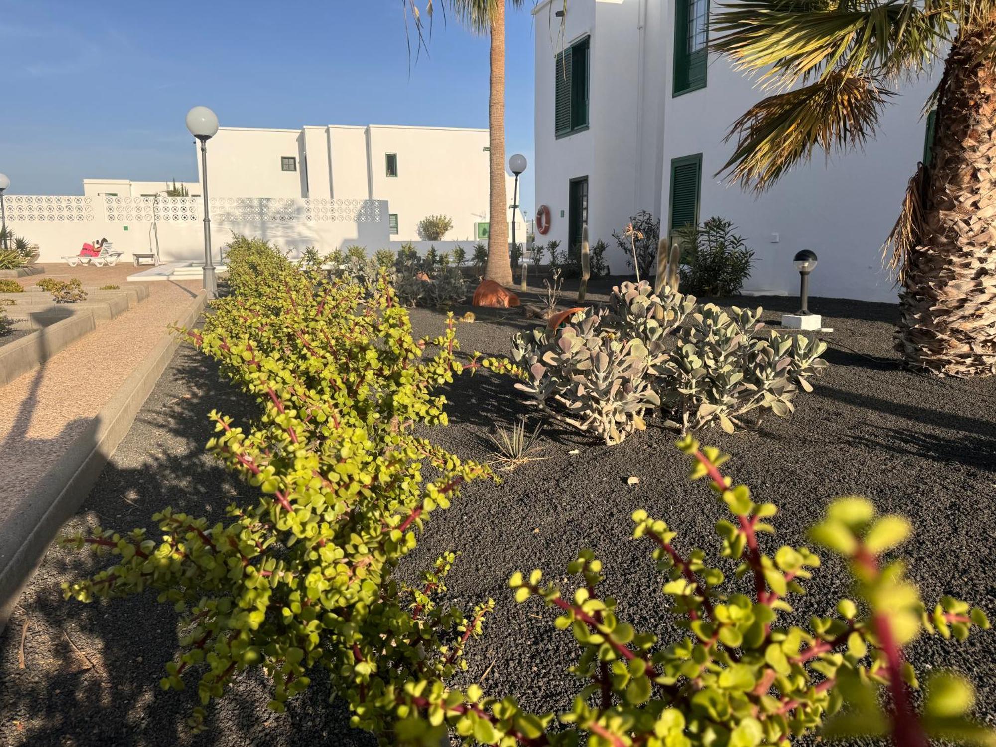 Las Mimosas Puerto del Carmen  Exteriör bild